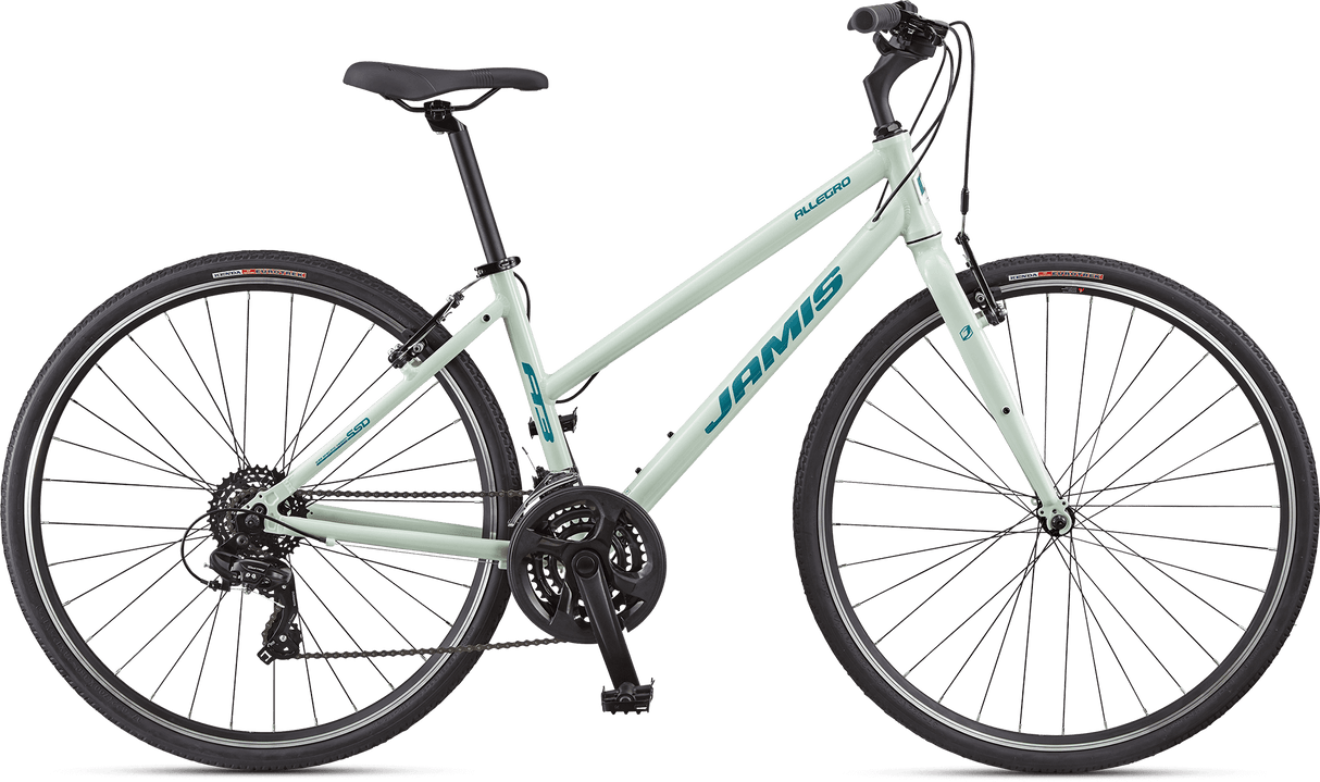 Jamis Allegro A3 Step-Over Bike