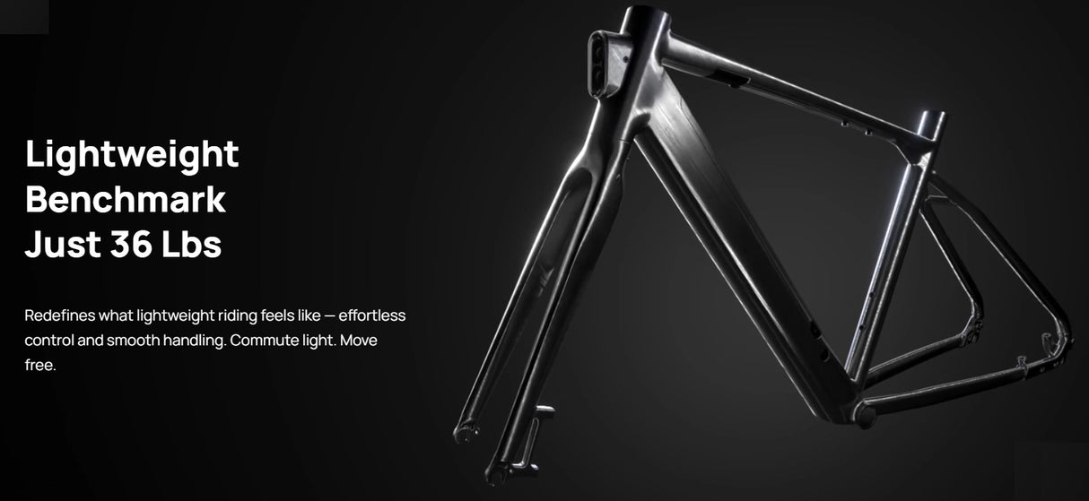 Mokwheel Flint E-Bike