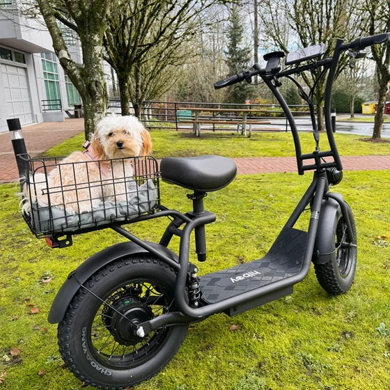 HiBoy U2 Pro Electric Scooter