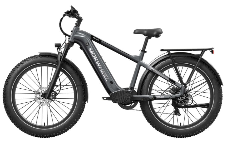 Mokwheel Basalt E-bike