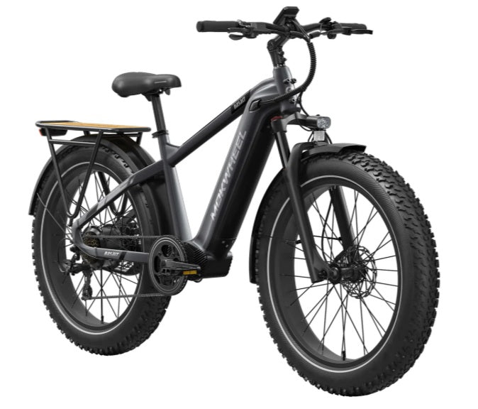 Mokwheel Basalt E-bike