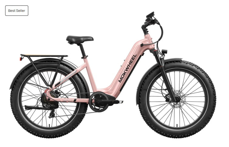 Mokwheel Basalt 2.0 ST E-bike