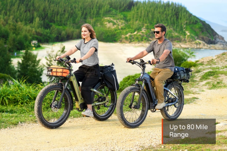 Mokwheel Basalt 2.0 ST E-bike
