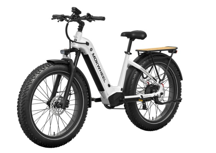 Mokwheel Basalt 2.0 ST E-bike