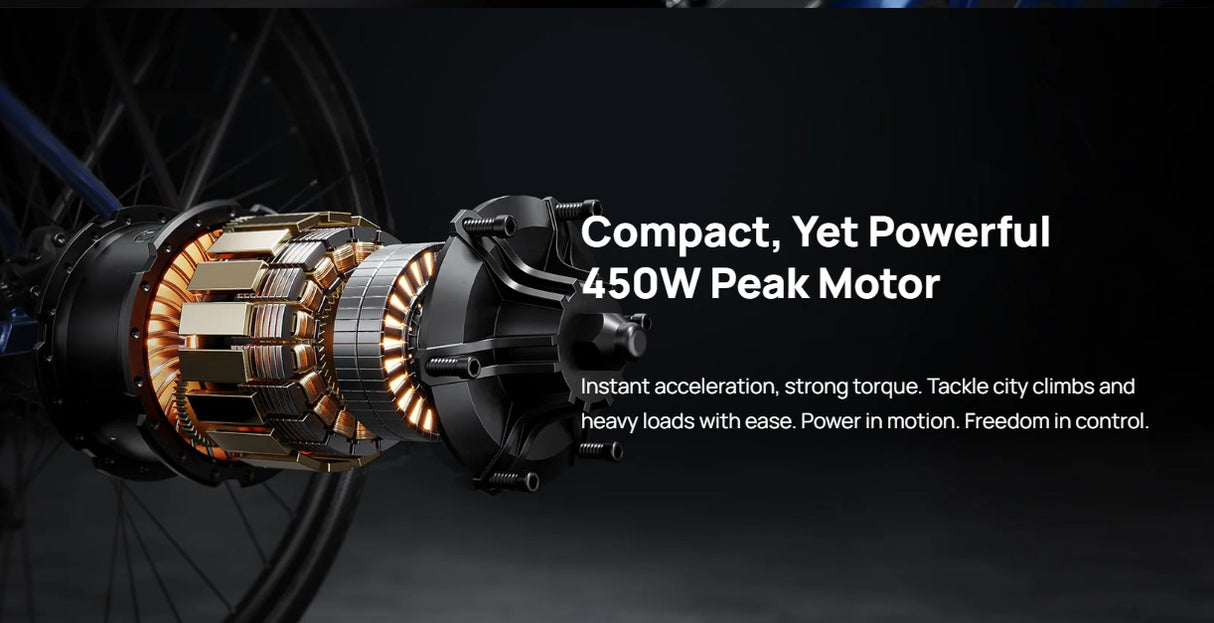 Mokwheel FLINT PRO E-Bike
