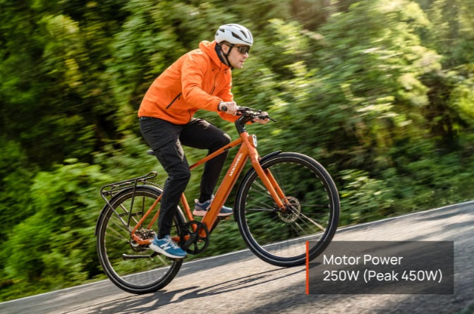 Mokwheel FLINT PRO E-Bike