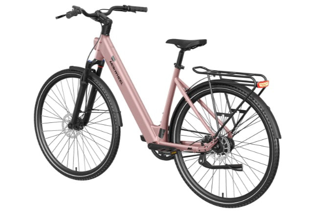 Mokwheel FLINT PRO ST E-Bike