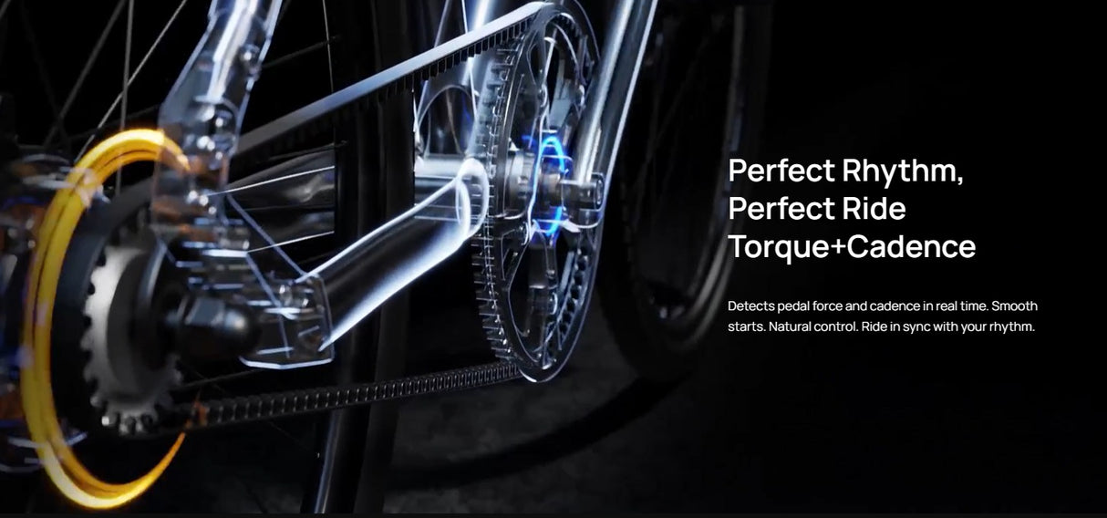 Mokwheel FLINT PRO ST E-Bike
