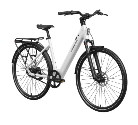 Mokwheel FLINT PRO ST E-Bike