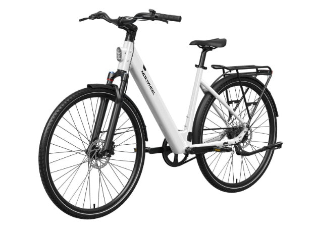 Mokwheel FLINT PRO ST E-Bike