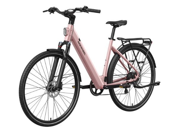 Mokwheel Flint ST E-Bike
