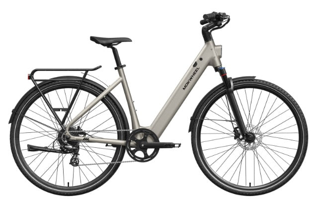 Mokwheel Flint ST E-Bike