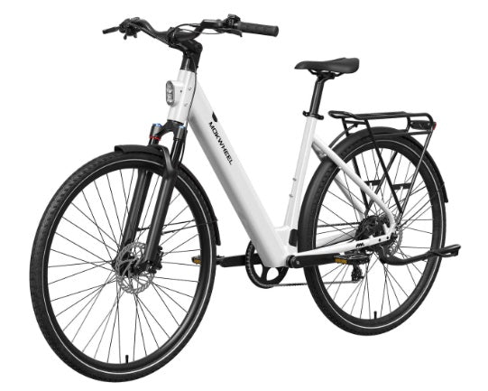 Mokwheel Flint ST E-Bike