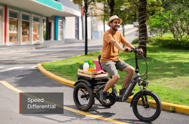 Mokwheel Granite E-Trike
