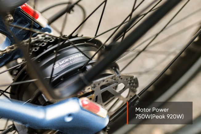 Mokwheel Tarmac E-Bike
