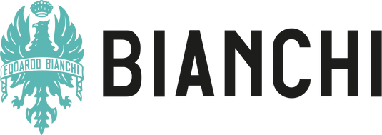 Bianchi Espresso Bicycle Repairs