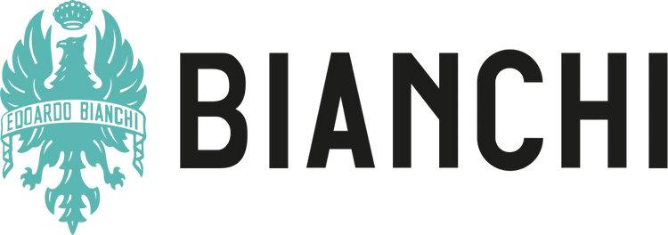 Bianchi Espresso Bicycle Repairs