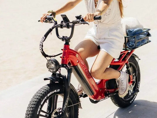 Rocky Pro A-320 - Freeskycycle eBike