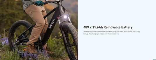 HiBoy P6 Fat Tire Front-Suspension Electric Bike