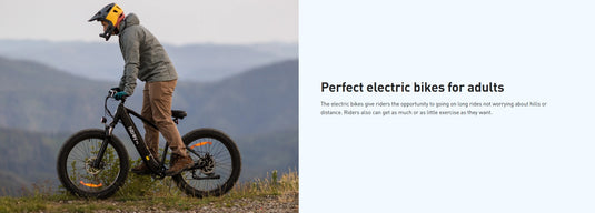 HiBoy P6 Fat Tire Front-Suspension Electric Bike