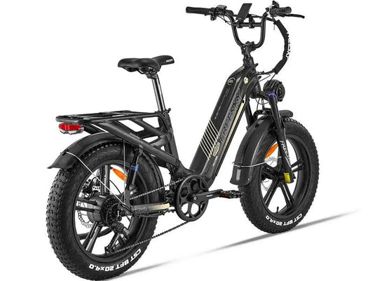 Rocky Pro A-320 - Freeskycycle eBike