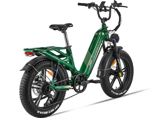Rocky Pro A-320 - Freeskycycle eBike