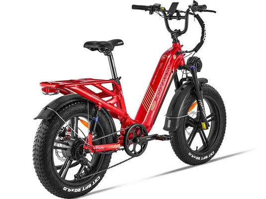 Rocky Pro A-320 - Freeskycycle eBike