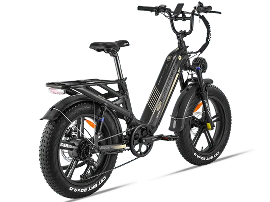 Rocky Pro A-320 - Freeskycycle eBike