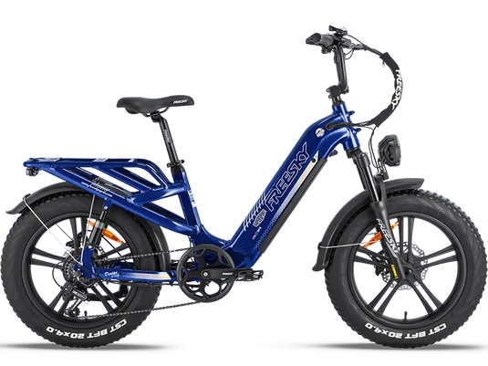 Rocky Pro A-320 - Freeskycycle eBike