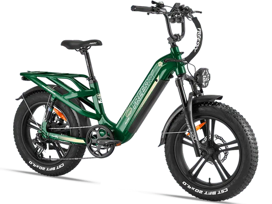 Rocky Pro A-320 - Freeskycycle eBike