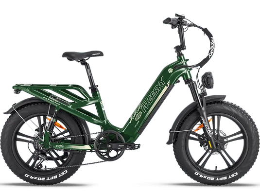 Rocky Pro A-320 - Freeskycycle eBike