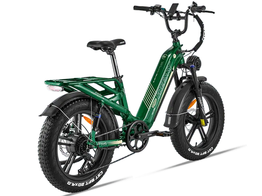 Rocky Pro A-320 - Freeskycycle eBike