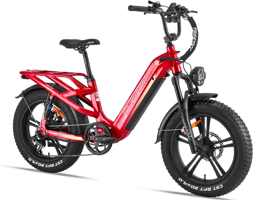 Rocky Pro A-320 - Freeskycycle eBike