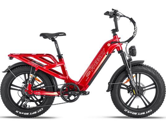 Rocky Pro A-320 - Freeskycycle eBike