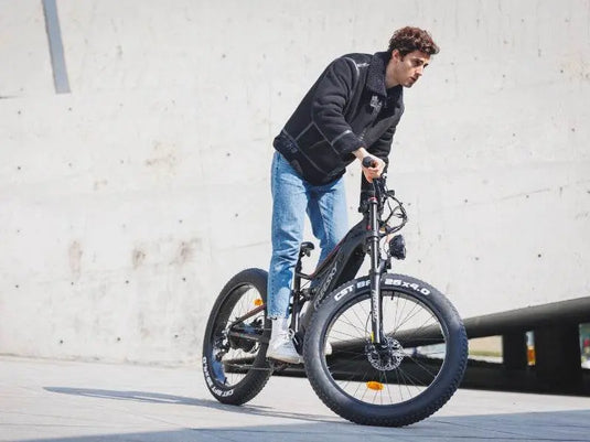 Swift Horse Pro X-6E - Freeskycycle eBike