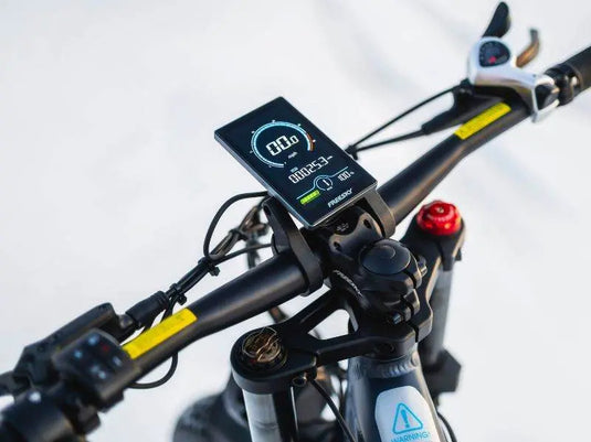 Swift Horse Pro X-6E - Freeskycycle eBike