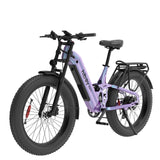 Hiboy EX11 Electric Bike