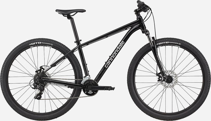 Cannondale Trail 8 Gray - 2024 - Espresso Bicycle Repairs