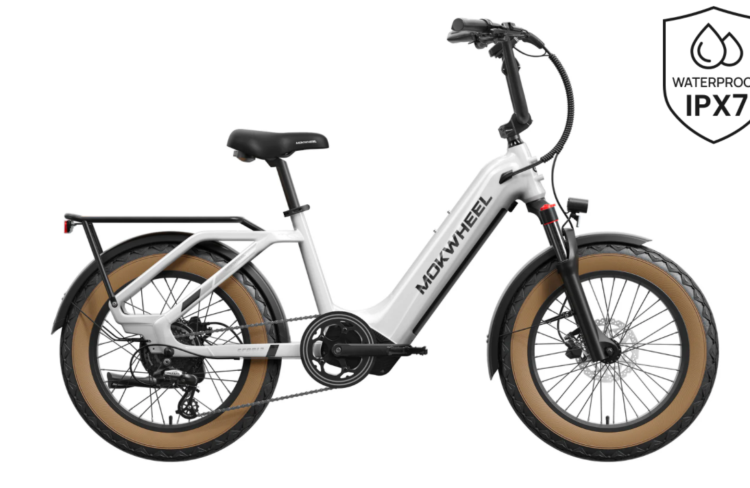 Mokwheel Scoria E-Bike
