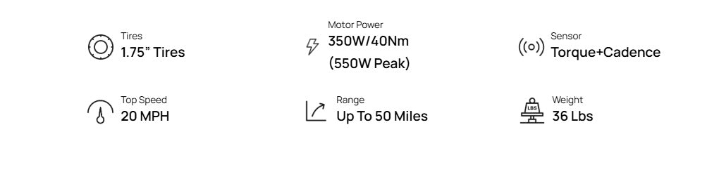 Mokwheel Flint E-Bike