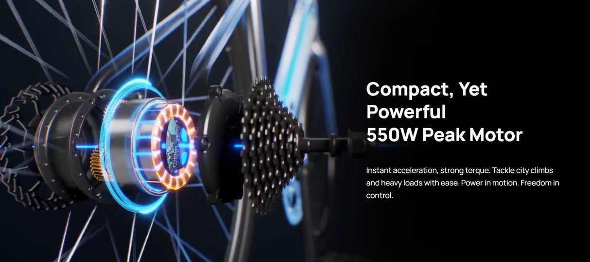 Mokwheel Flint E-Bike
