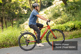 Mokwheel Flint E-Bike