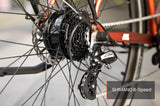 Mokwheel Flint E-Bike