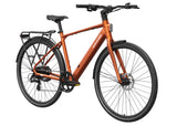 Mokwheel Flint E-Bike