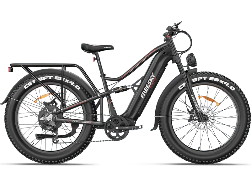 Load image into Gallery viewer, Swift Horse Pro X-6E - Freeskycycle eBike
