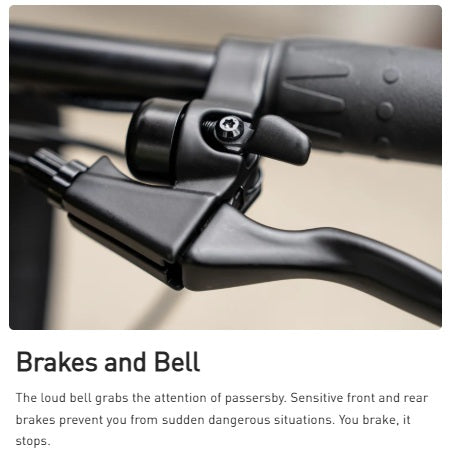 Hiboy C1 Folding Electric Bike