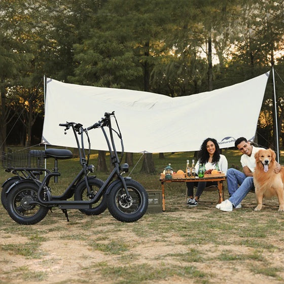 HiBoy U2 Pro Electric Scooter