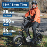 HiBoy U2 Pro Electric Scooter