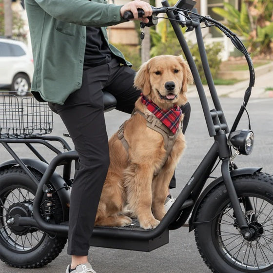 HiBoy U2 Pro Electric Scooter