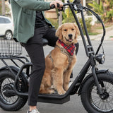 HiBoy U2 Pro Electric Scooter